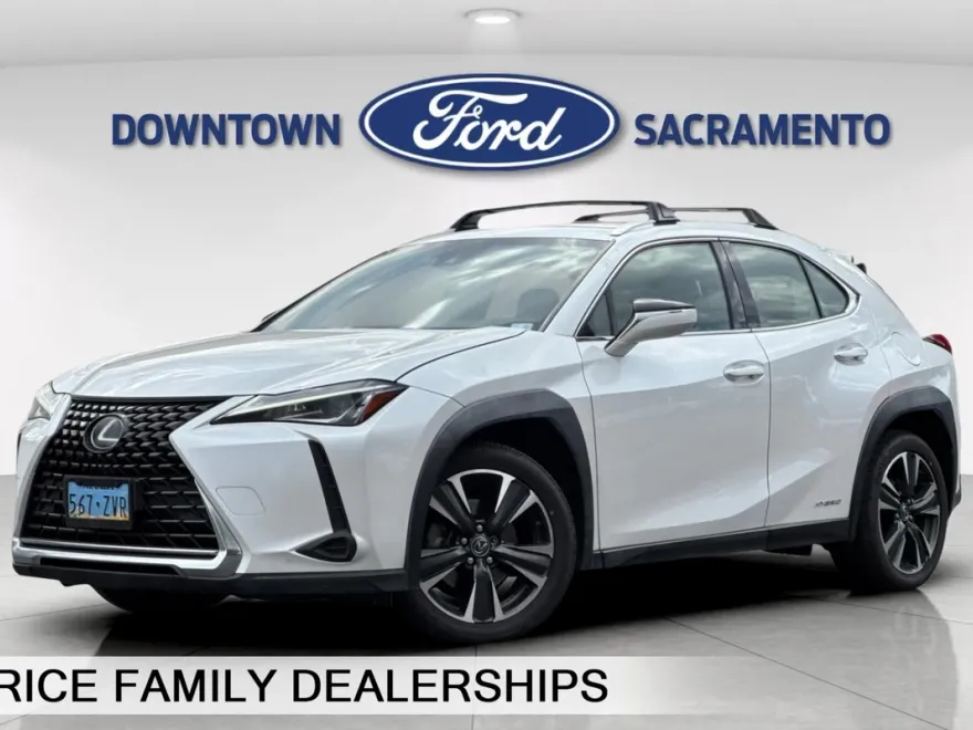 2019 Lexus UX 250h photo 1