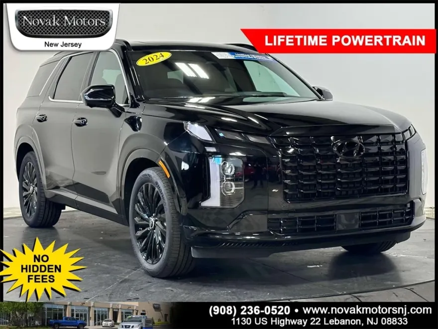 2024 Hyundai Palisade Calligraphy photo 1