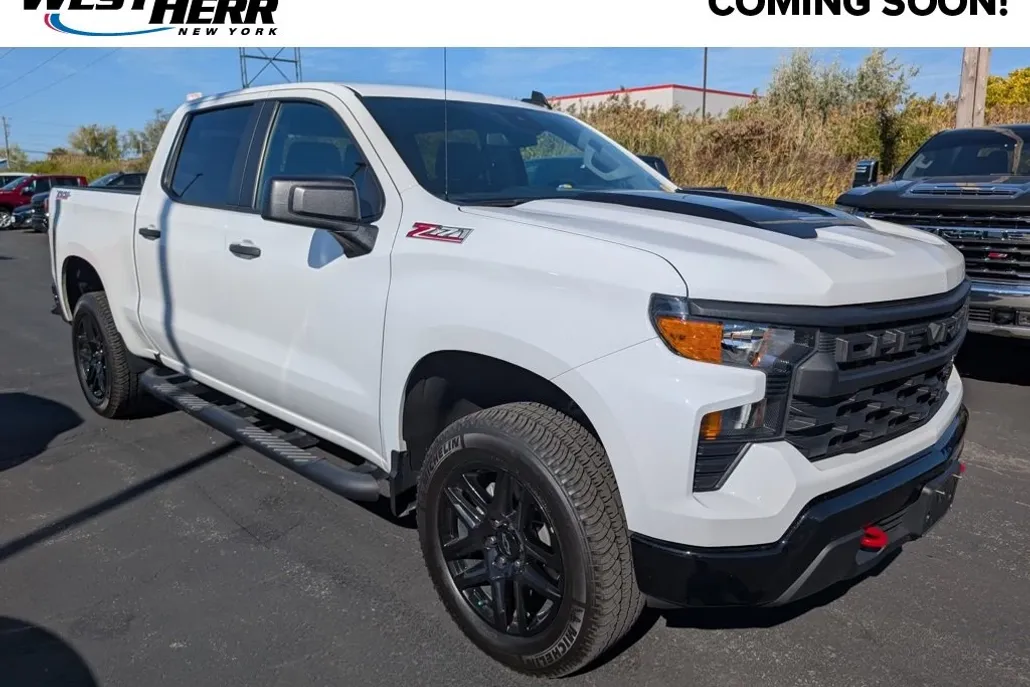 2023 Chevrolet Silverado 1500 Custom Trail Boss photo 1