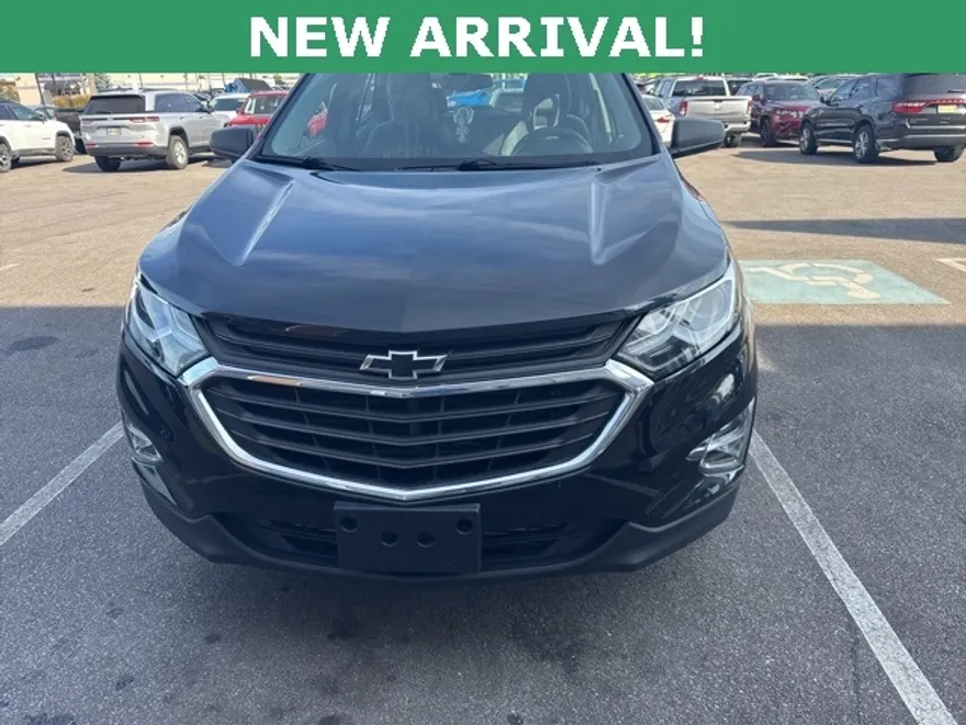 2020 Chevrolet Equinox LS photo 1