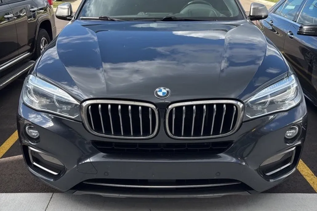 2018 Bmw X6 xDrive35i photo 1