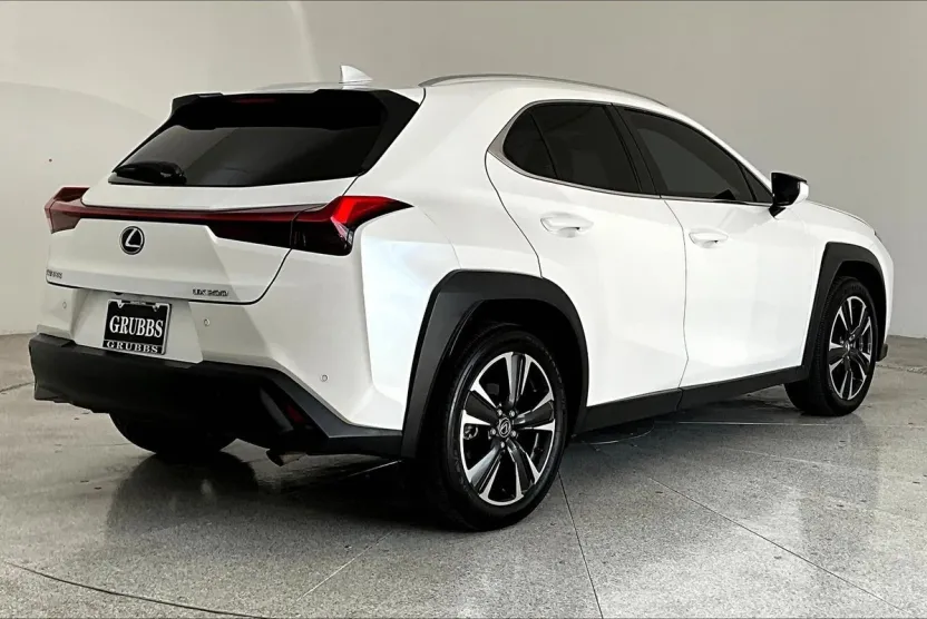 2019 Lexus UX 200 photo 1