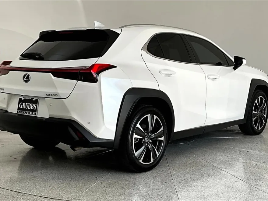 2019 Lexus UX 200 photo 1