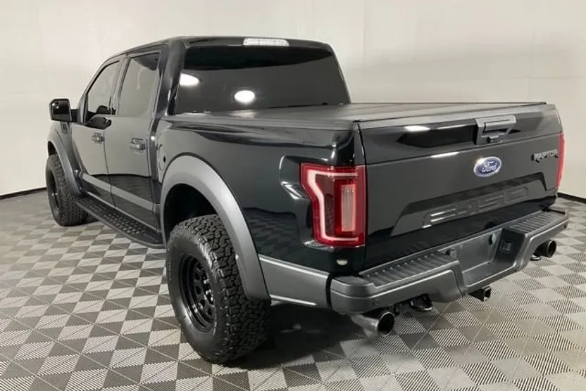 2019 Ford F-150 Raptor photo 1
