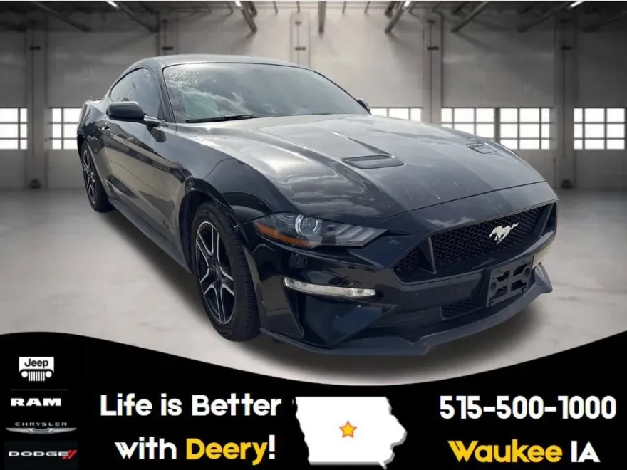 2019 Ford Mustang GT photo 1