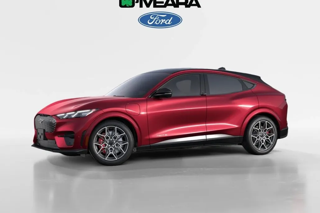 2025 Ford Mustang Mach-E GT photo 1
