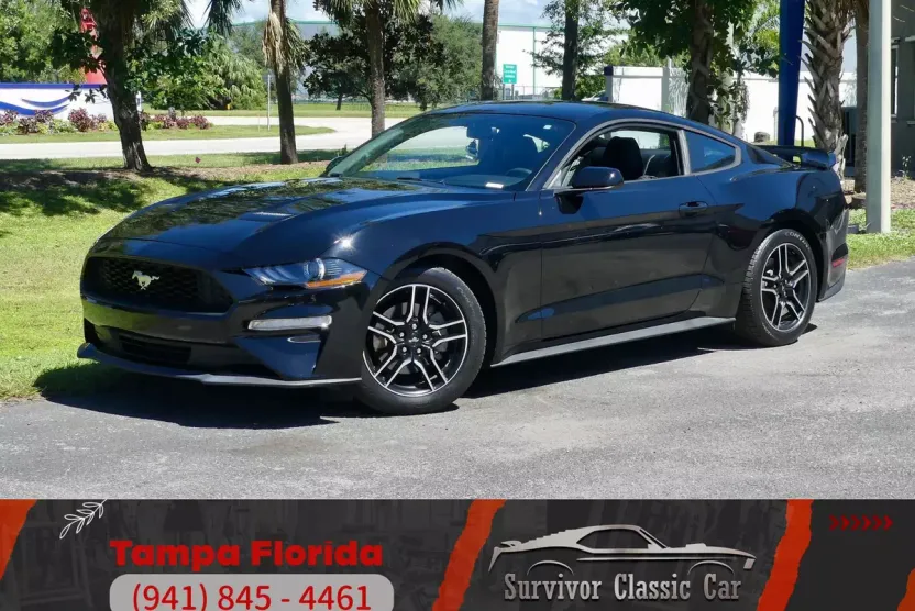 2020 Ford Mustang photo 1