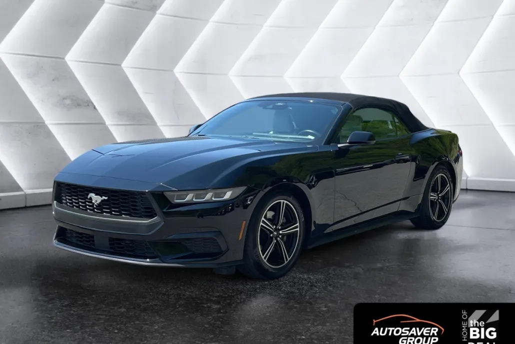 2024 Ford Mustang EcoBoost Convertible photo 1