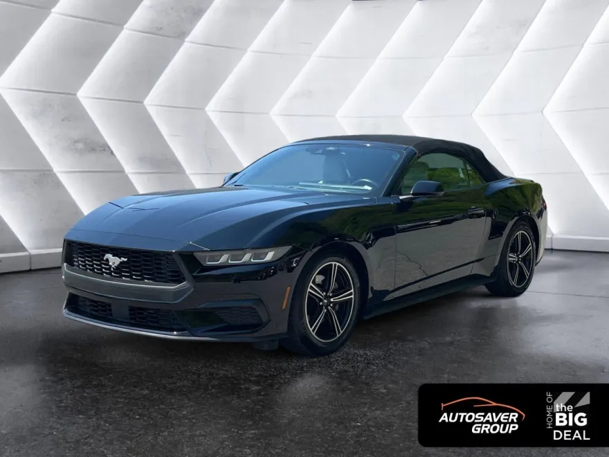 2024 Ford Mustang EcoBoost Convertible photo 1