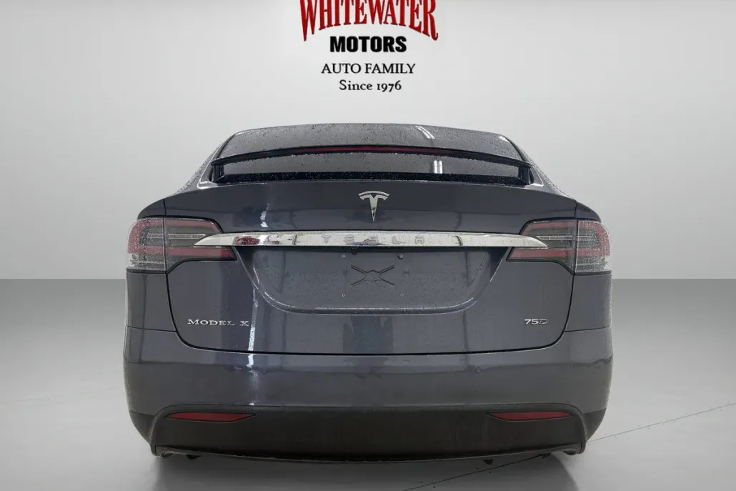 2017 Tesla Model X 75D photo 1