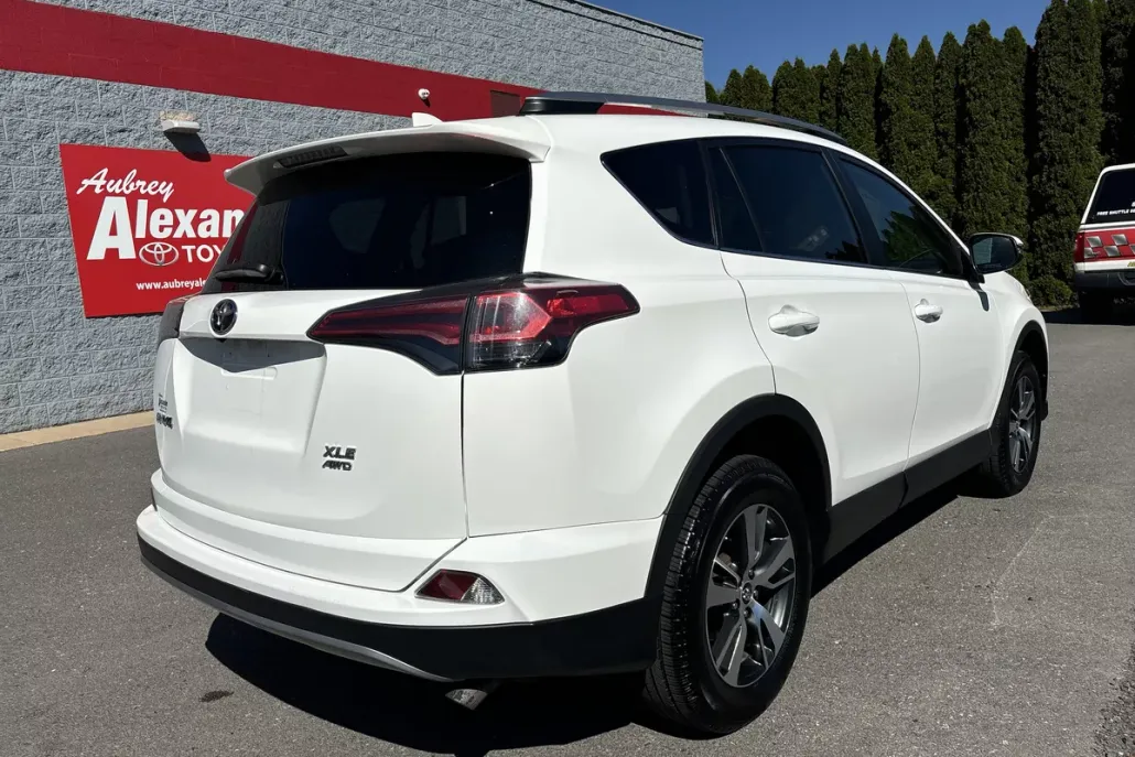 2018 Toyota RAV4 XLE photo 1
