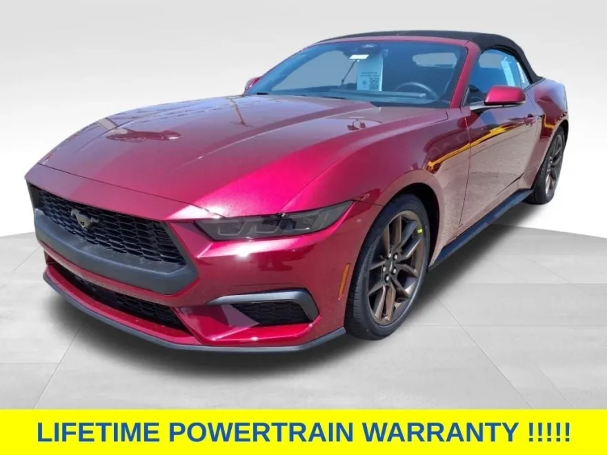 2025 Ford Mustang EcoBoost Premium photo 1