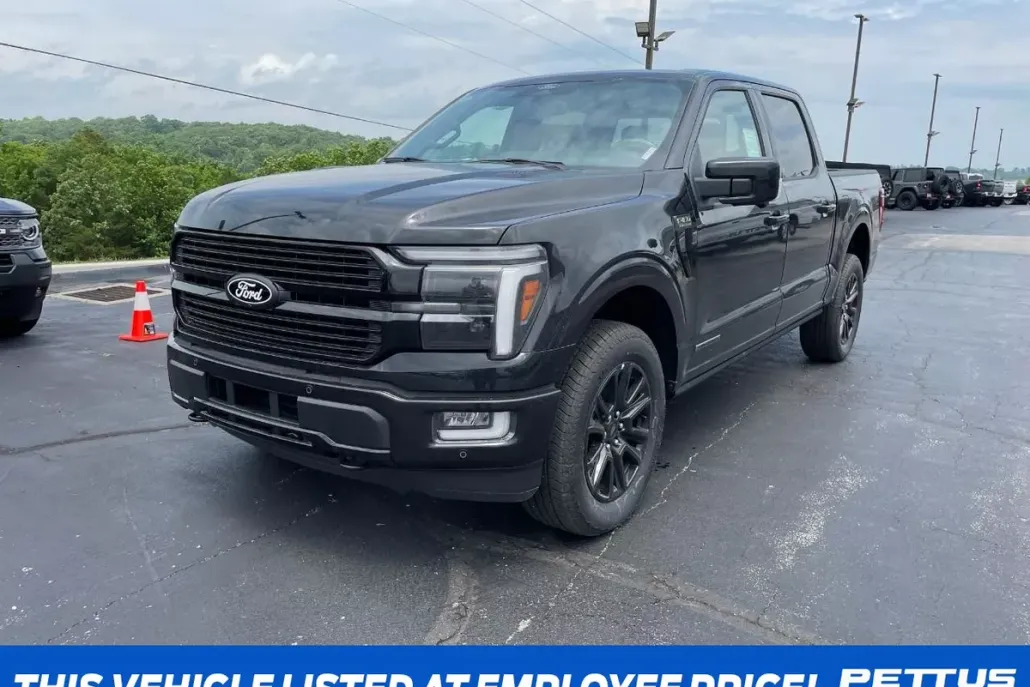 2025 Ford F-150 Platinum photo 1
