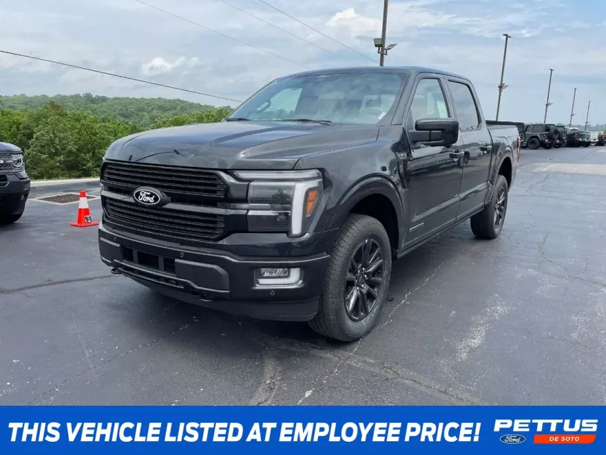 2025 Ford F-150 Platinum photo 1