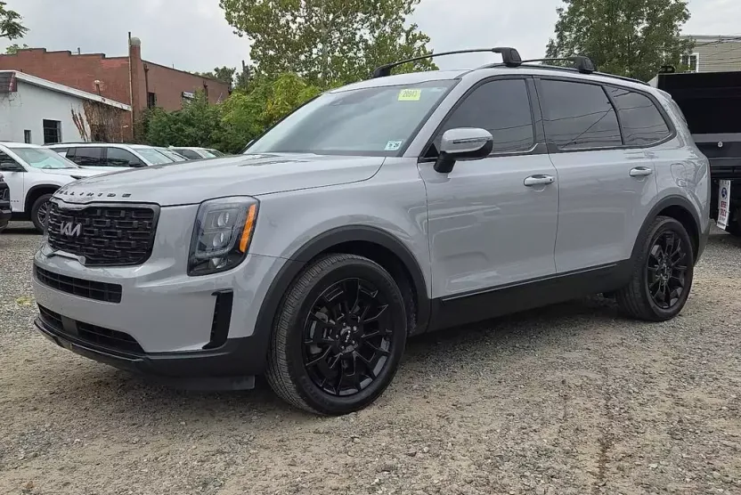 2022 Kia Telluride EX photo 1