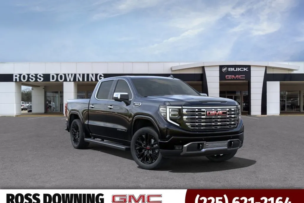 2025 Gmc Sierra 1500 Denali photo 1