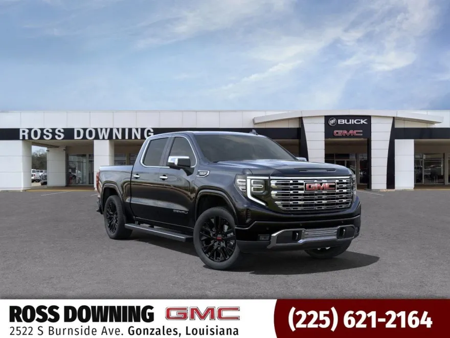 2025 Gmc Sierra 1500 Denali photo 1