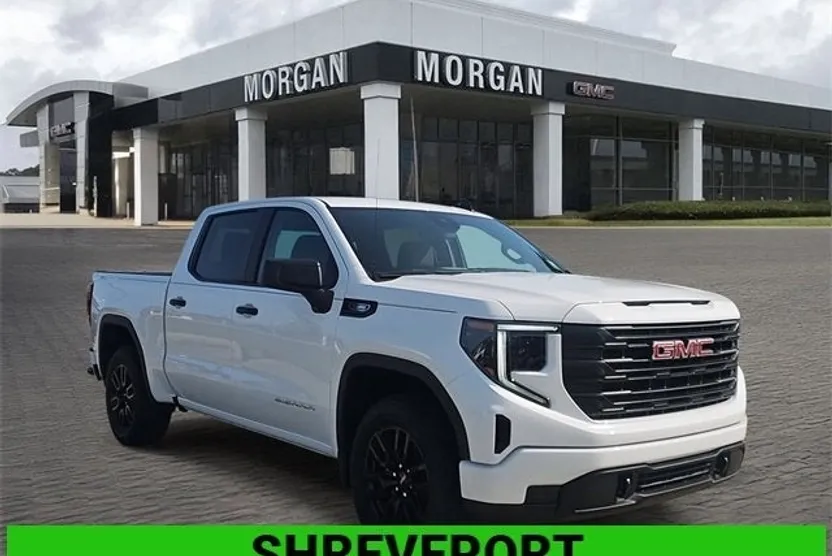 2025 Gmc Sierra 1500 Pro photo 1