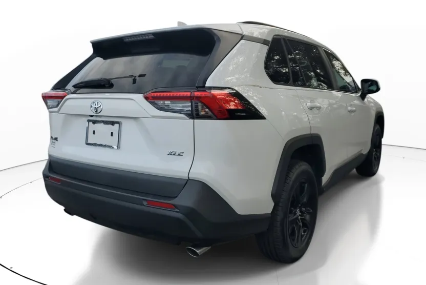 2019 Toyota RAV4 XLE photo 1