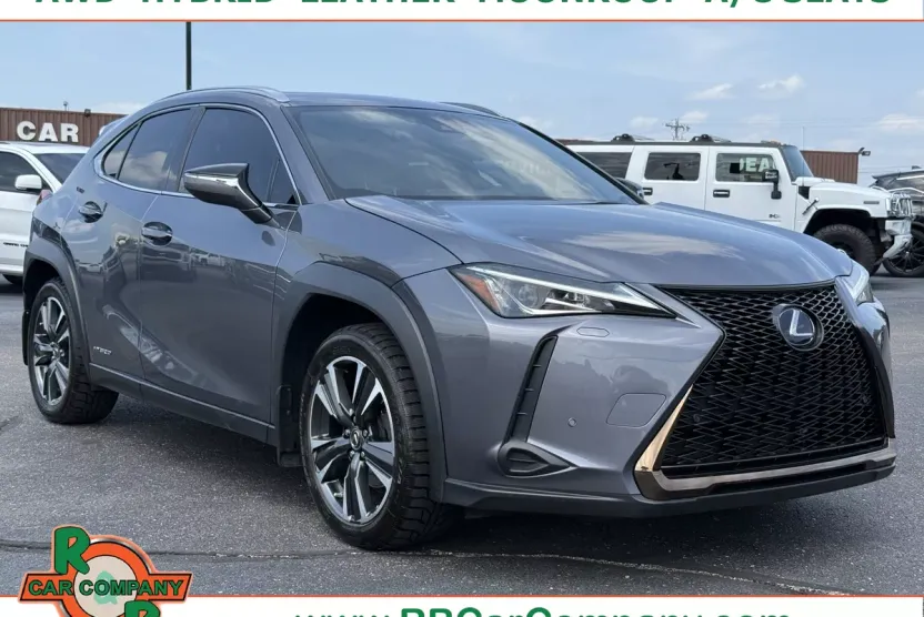 2020 Lexus UX 250h photo 1