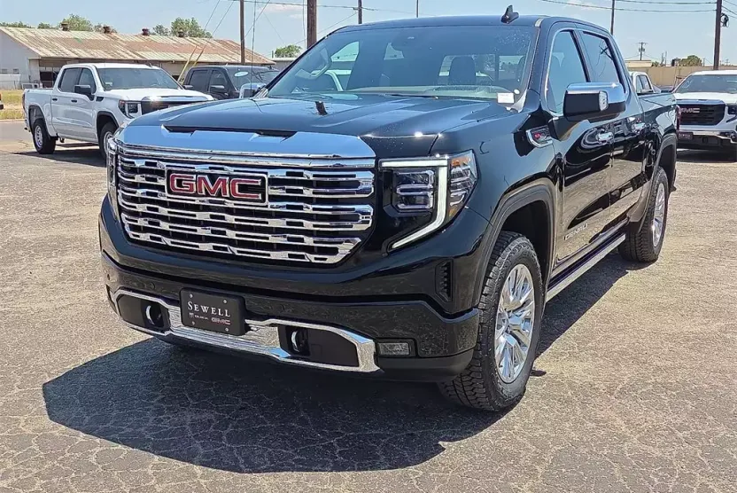 2025 Gmc Sierra 1500 Denali photo 1