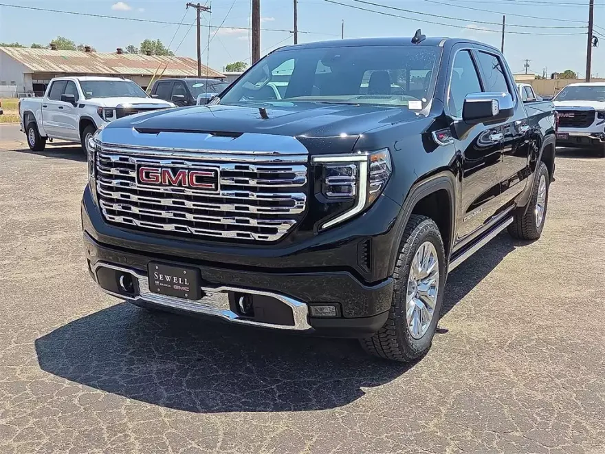 2025 Gmc Sierra 1500 Denali photo 1