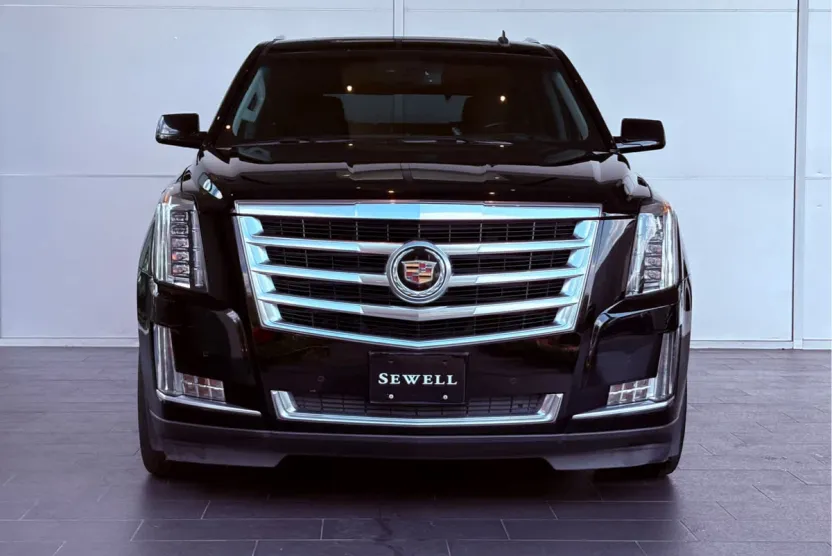2015 Cadillac Escalade Luxury photo 1