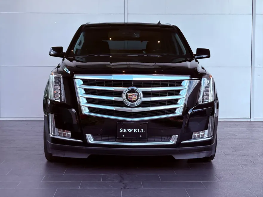 2015 Cadillac Escalade Luxury photo 1