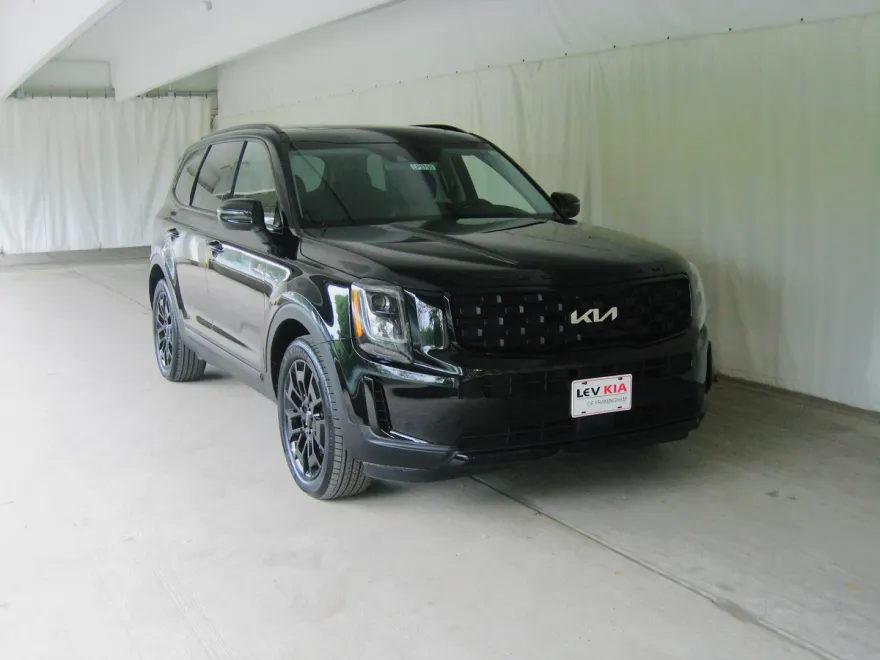 2022 Kia Telluride EX photo 1