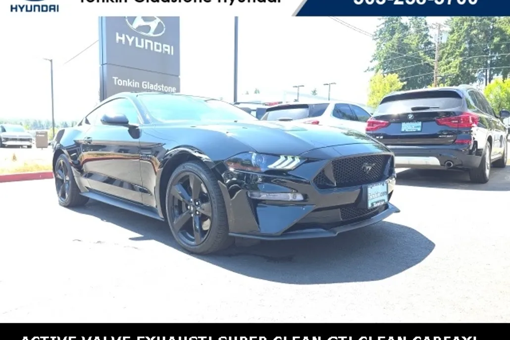 2021 Ford Mustang GT photo 1