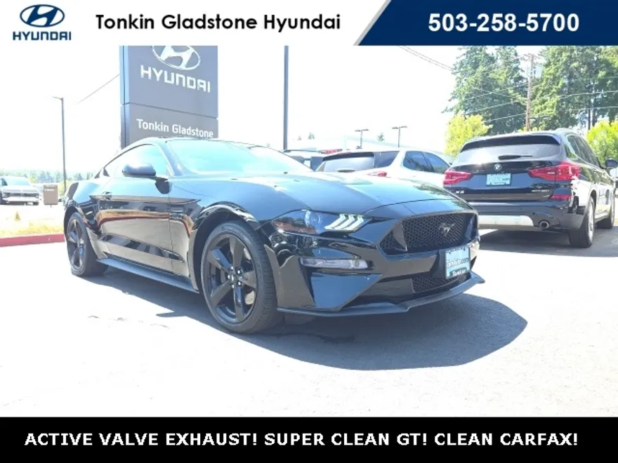 2021 Ford Mustang GT photo 1