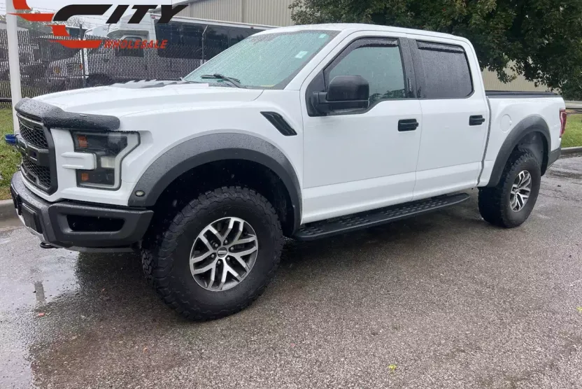 2017 Ford F-150 Raptor photo 1