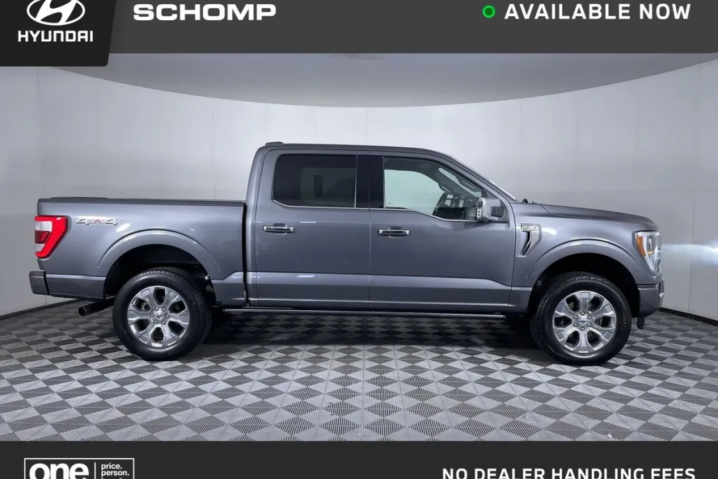 2021 Ford F-150 Platinum photo 1
