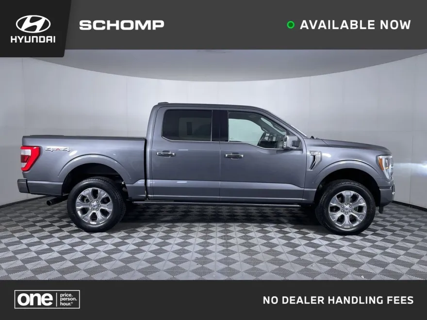 2021 Ford F-150 Platinum photo 1