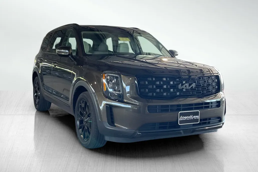 2022 Kia Telluride EX photo 1