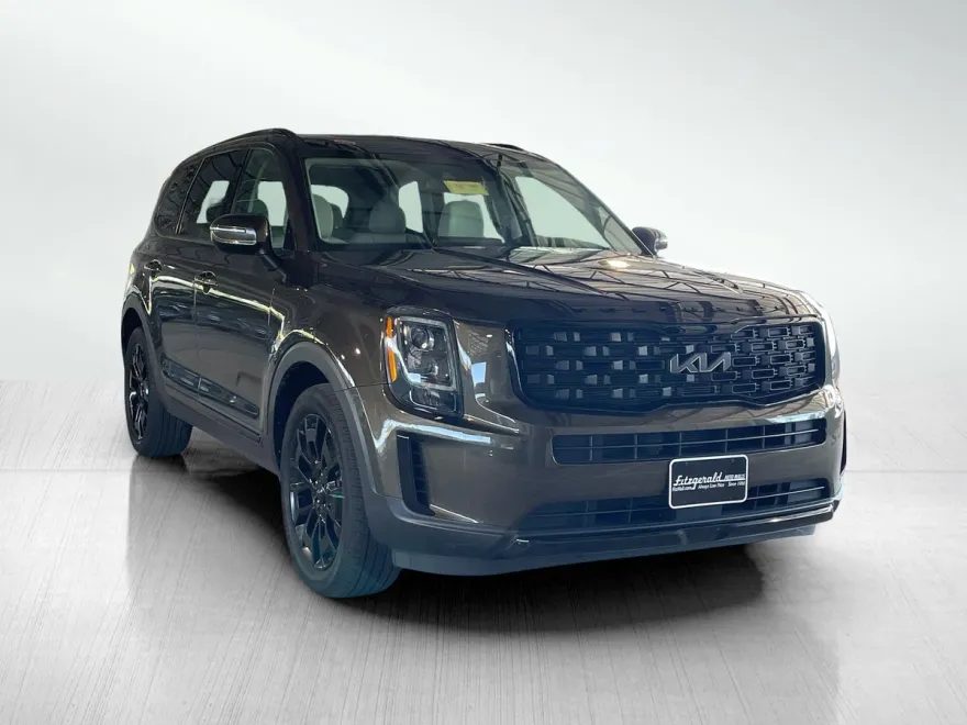 2022 Kia Telluride EX photo 1