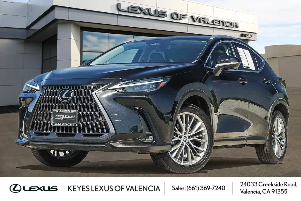 2024 Lexus NX 350 Luxury photo 1
