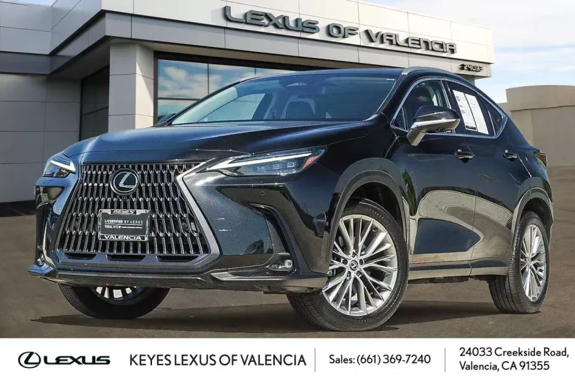 2024 Lexus NX 350 Luxury photo 1