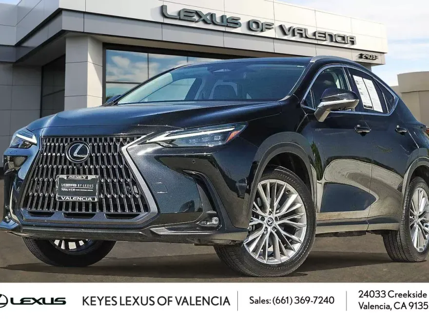 2024 Lexus NX 350 Luxury photo 1