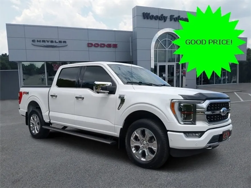 2021 Ford F-150 Platinum photo 1