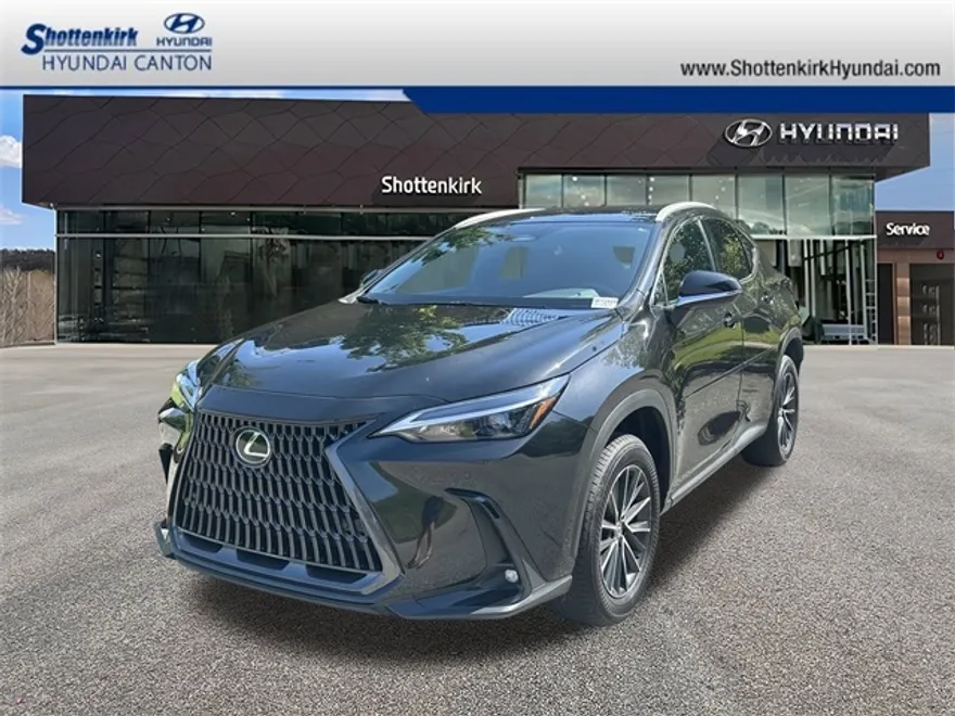 2025 Lexus NX 350h photo 1