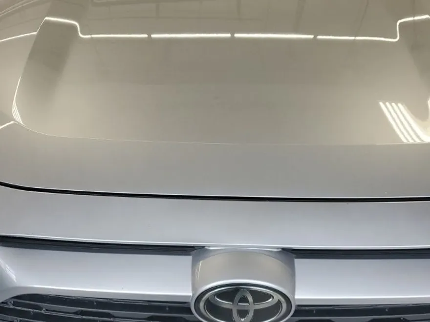 2019 Toyota RAV4 LE photo 1