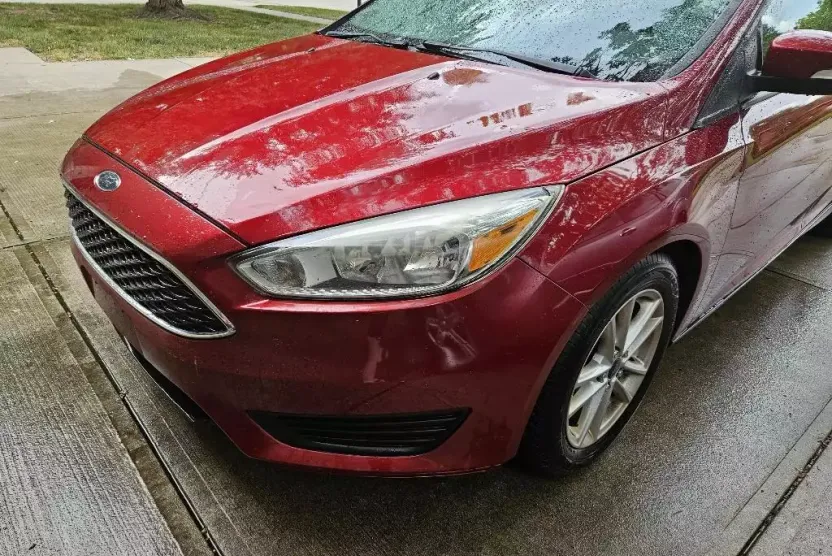 2016 Ford Focus SE photo 1