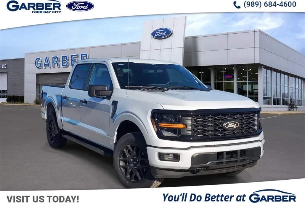 2025 Ford F-150 STX photo 1