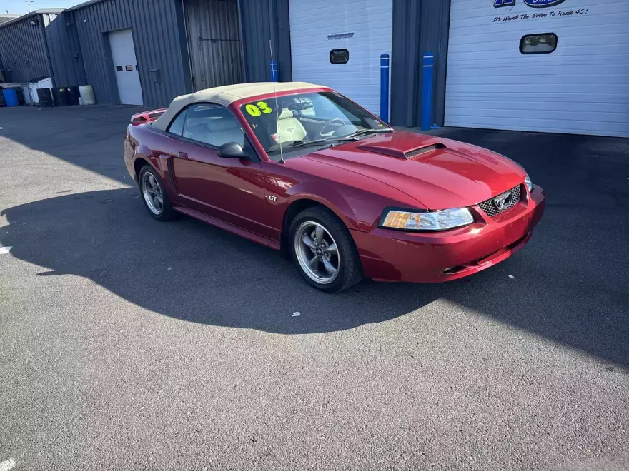 2003 Ford Mustang GT Deluxe photo 1
