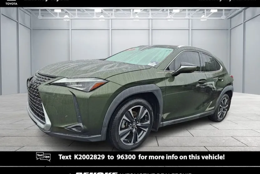 2019 Lexus UX 250h F SPORT photo 1