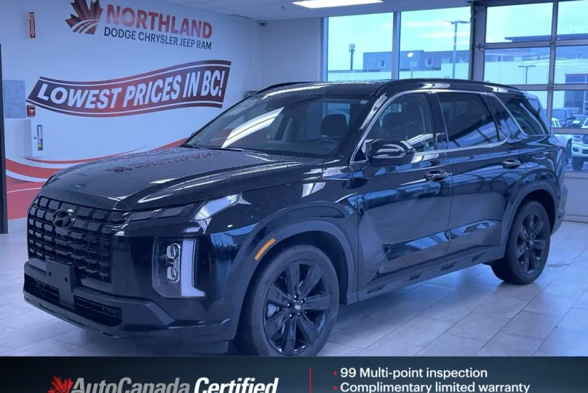 2025 Hyundai Palisade XRT photo 1