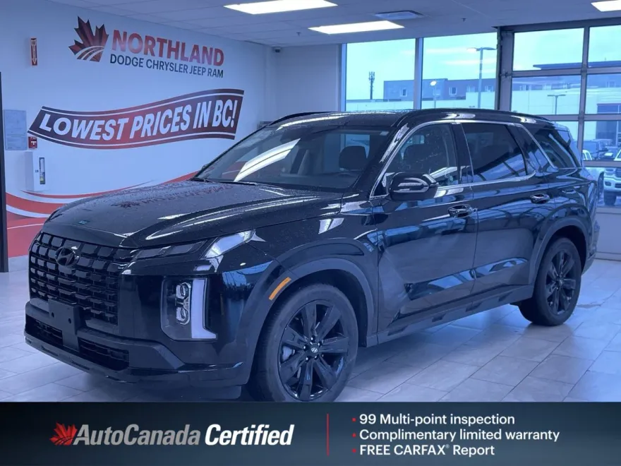 2025 Hyundai Palisade XRT photo 1