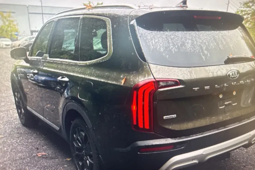2020 Kia Telluride SX photo 1