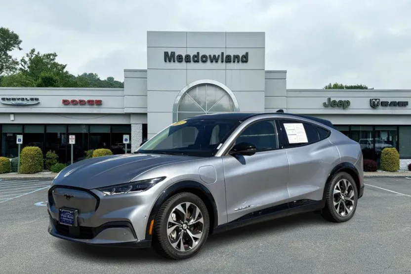 2021 Ford Mustang Mach-E Premium photo 1